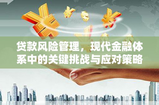 田尾贷款风险管理，现代金融体系中的关键挑战与应对策略