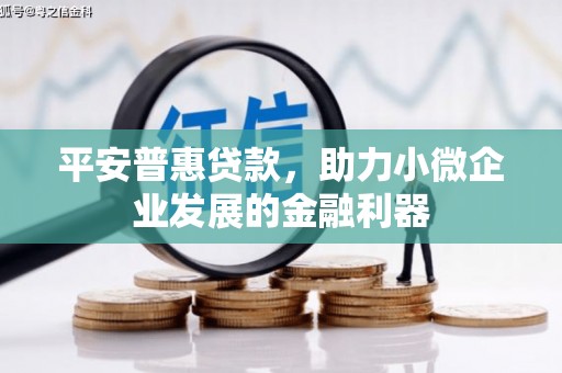 田尾平安普惠贷款，助力小微企业发展的金融利器