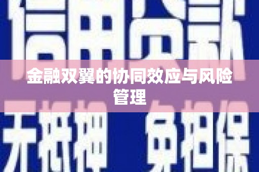 田尾金融双翼的协同效应与风险管理
