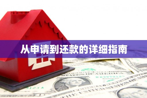田尾从申请到还款的详细指南