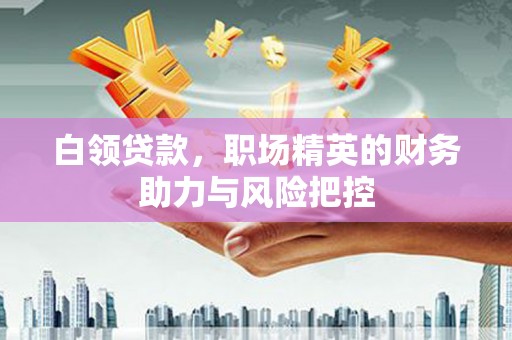 田尾白领贷款，职场精英的财务助力与风险把控